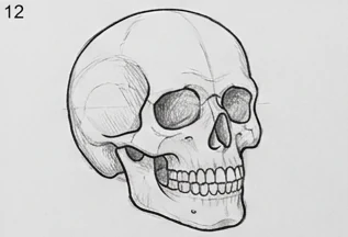 The finished pencil drawing from step twelve.