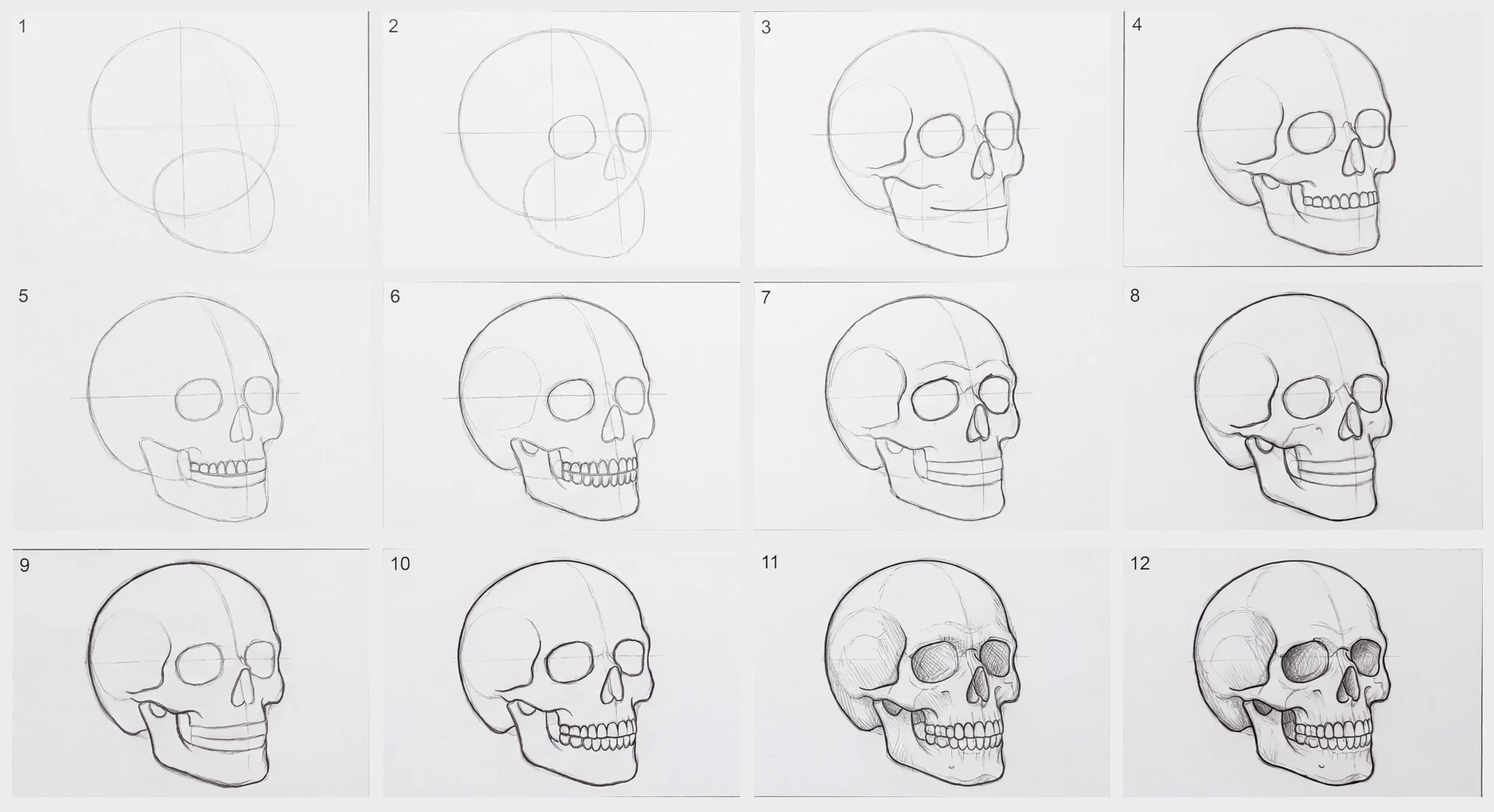 All twelve steps of the skull drawing in one grid, from the first light guide shapes to the finished pencil drawing.